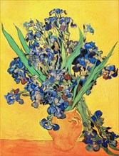 Van Gogh, Vase aux iris