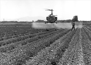 Helicopter Cropdusting