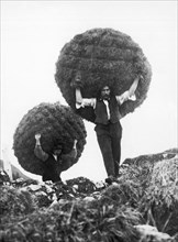 Transporting Hay By Hand