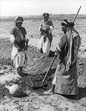 Plowing In Mesopotamia