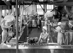Heinz Factory Production Line