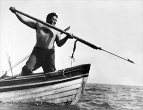 Maori Tribesman Whaler