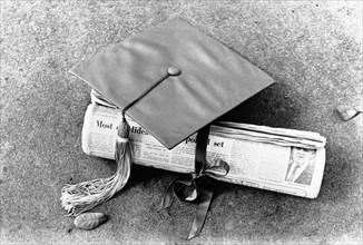 Diplomas By Newspaper