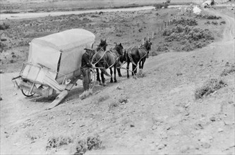 Broken Down Wagon On Prairie