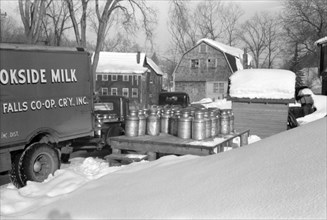 Co-op Dairy Milk Pickup