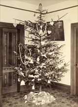 A Christmas Tree In 1900