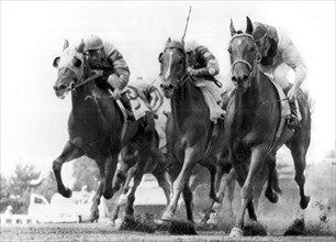 Horse Racing At Monmouth Park