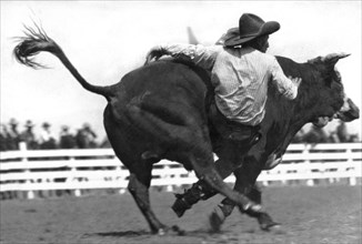 Cowboy Falling  From Bull