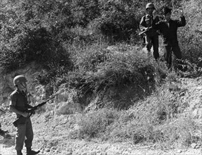 A Viet Cong Surrenders