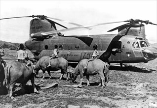 Helicopters And Water Buffalos