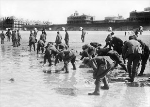 Soldiers Collecting Seashells