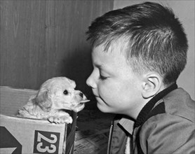 A young boy is face to face with a puppy tongue.