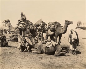 Egyptian Camel Caravan