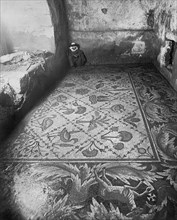 Mosaic Floor In Madaba