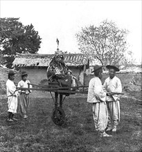 Korean General Cart