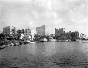 A View Of Miami