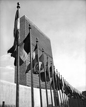 Flags Flying At United Nations