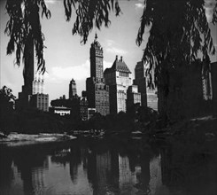 Central Park Evening View