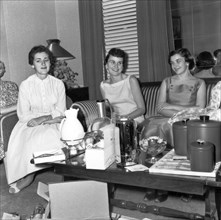 Women At A Housewares Party