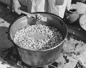 Indians Cooking Corn