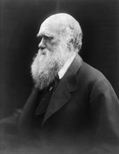 Portrait Of Charles Darwin