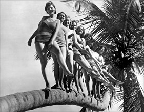 Dancers Practice On Palm Tree
