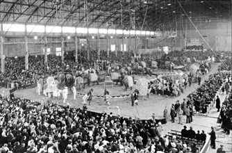 Photo Of A Five Ring Circus
