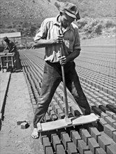 Worker Stamping Out Bricks