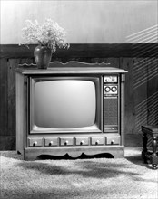 Sylvania Electric Products introduces its 1970 color television