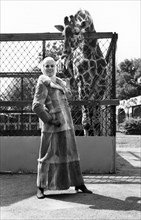 A Giraffe And The Model