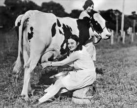 United States:  c. 1928.
A young woman milks a cow in a field.