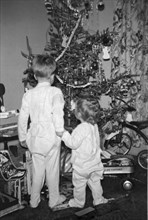Children Check Christmas Tree