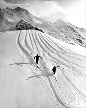 Downhill Skiing In Powder