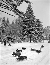 The winter's first snow brings joy to the children