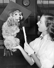 Dog Graduates From School