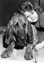A Bloodhound's Best Friend