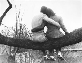 Campus Lovers In The Tree