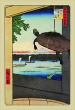 Turtle 1850