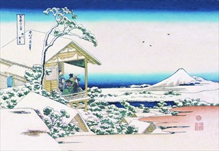 View of Mount Fuji in Winter