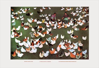 Brigade's Chicken Farm