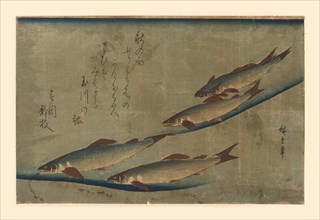 Salmon Run 1850