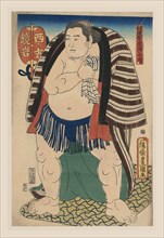Victorious Sumo 1850