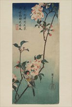 Small bird on a branch of Kaidozakura (Kaido ni shokin) 1833