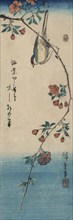 Small bird on a branch of Kaidozakura (Kaido ni shokin) 1844
