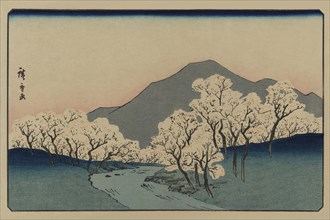 Grove of Cherry Trees (Sakura namiki zu) 1900