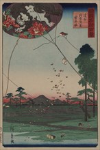 Distant view of Akiba of Enshu: kites of Fukuroi (Enshu¯ akiba enkei fukuroi no tako) 1859