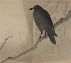 Crow on a willow branch 1875
