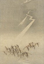Thunder and lightning over rice grain 1900