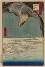 Hawk flying above a snowy landscape along the coastline. 1857