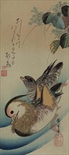 Mandarin ducks 1840